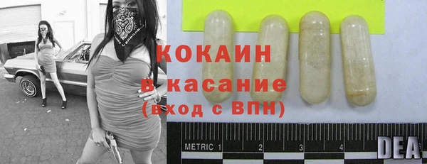 стаф Абинск
