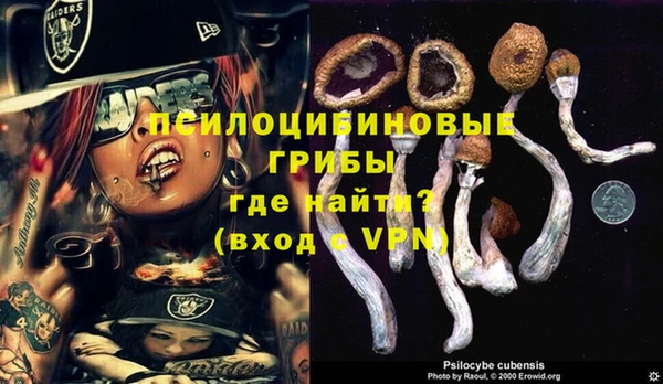прущие крисы Алзамай