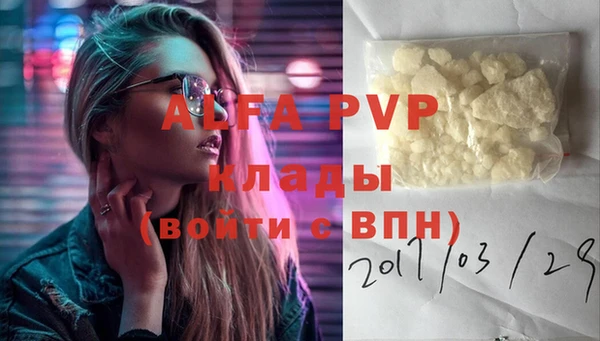 стафф Алексин