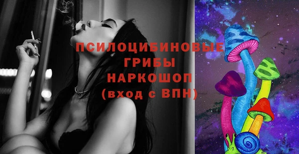 стафф Алексин