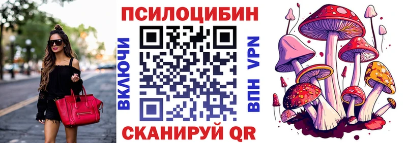 Псилоцибиновые грибы мицелий Павловский Посад