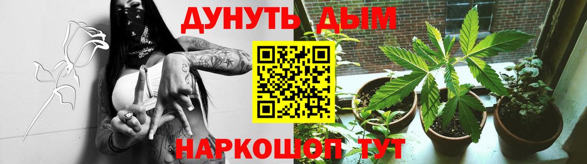 Конопля индика  Вход с VPN  Шишки марихуана LSD WEED  Шишки марихуана Ganja  Марихуана семена  Павловский Посад 